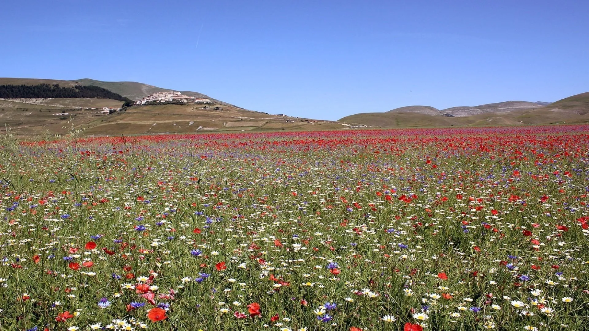 castelluccio di norcia