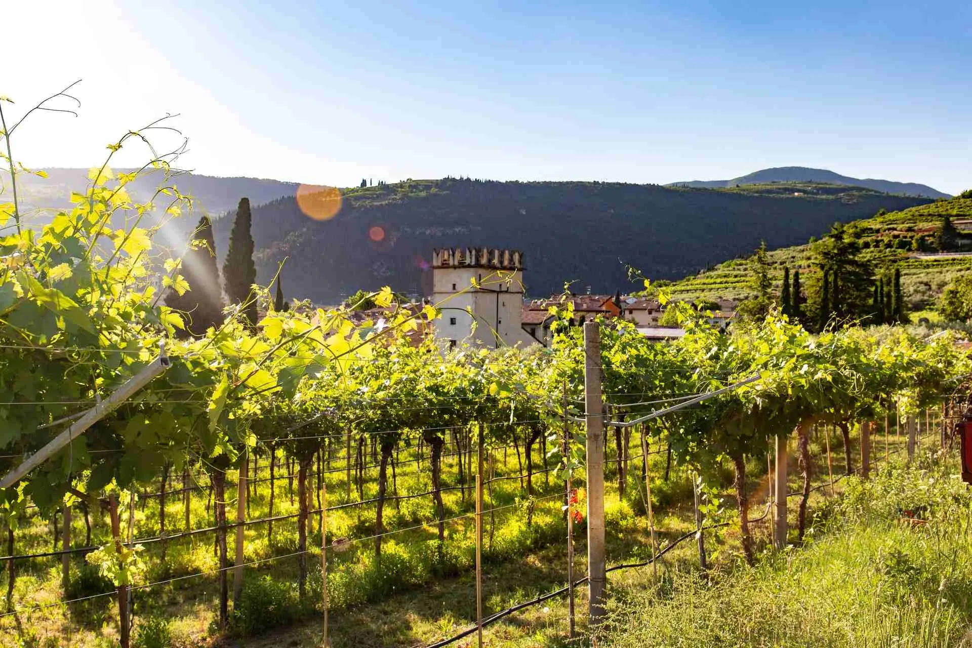 valpolicella verona