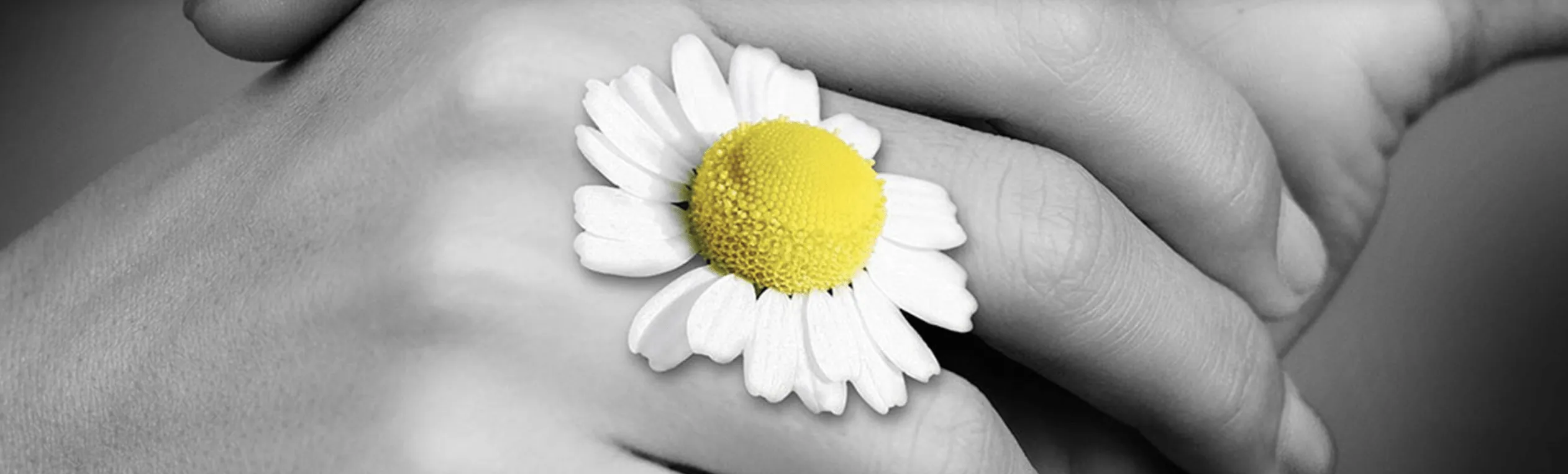 come aiutare le donne che subiscono violenza