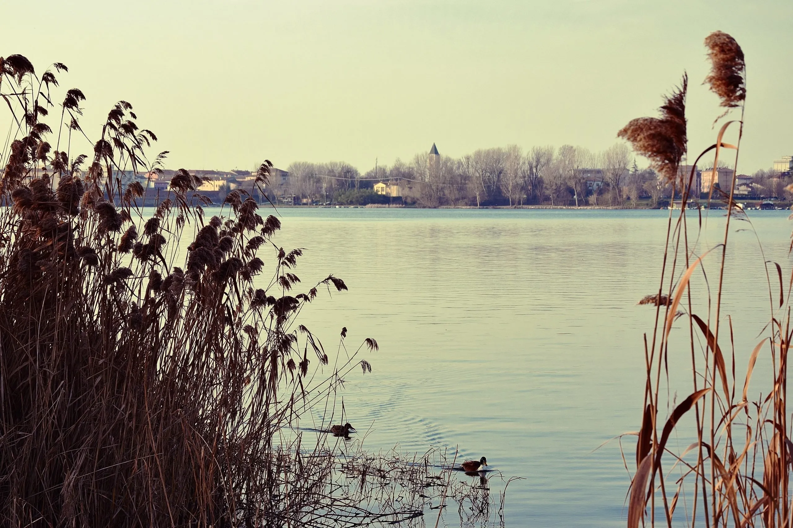 cosa vedere a mantova