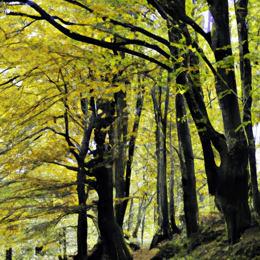 Equinozio d’autunno: 5 viaggi straordinari per ammirare l’autunno