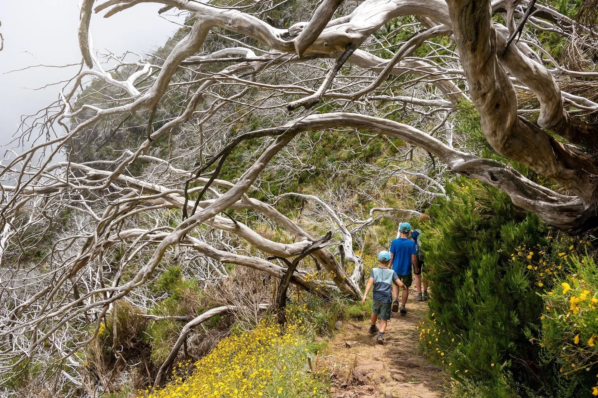 Per Pasqua 2022 si può scegliere di fare trekking di gruppo anche con i bambini
