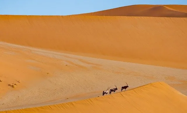 Namibia Cose da Vedere