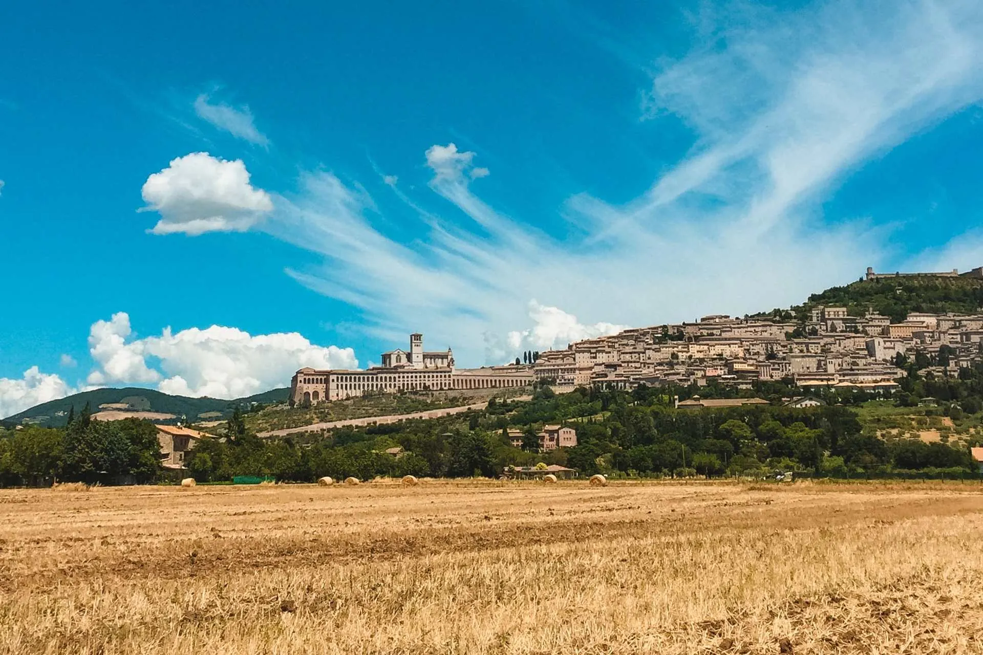 amici possibilità servizio paese matrimonio