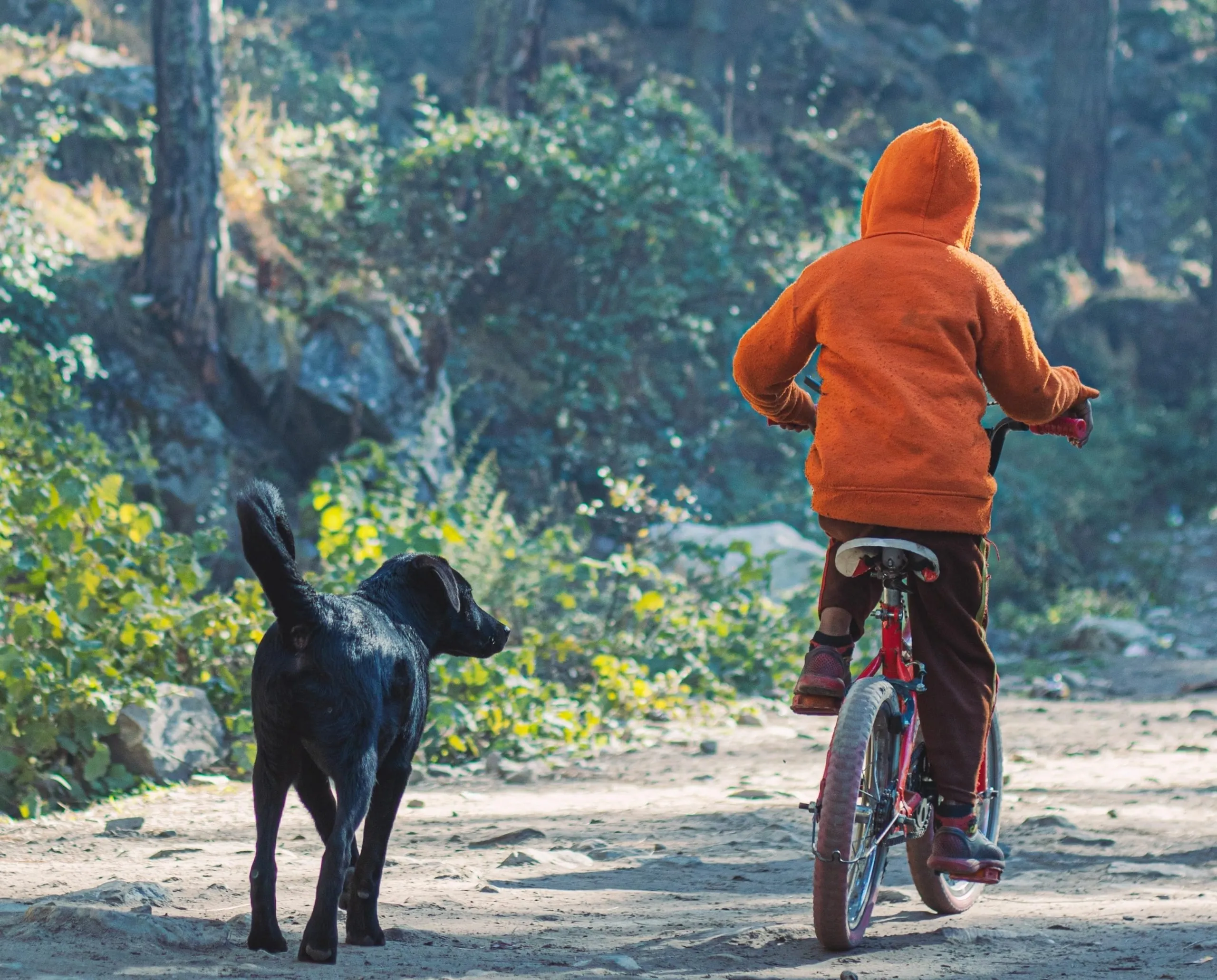 Le piste ciclabili sono un ottimo posto dove fare una gita in Lombardia con il cane