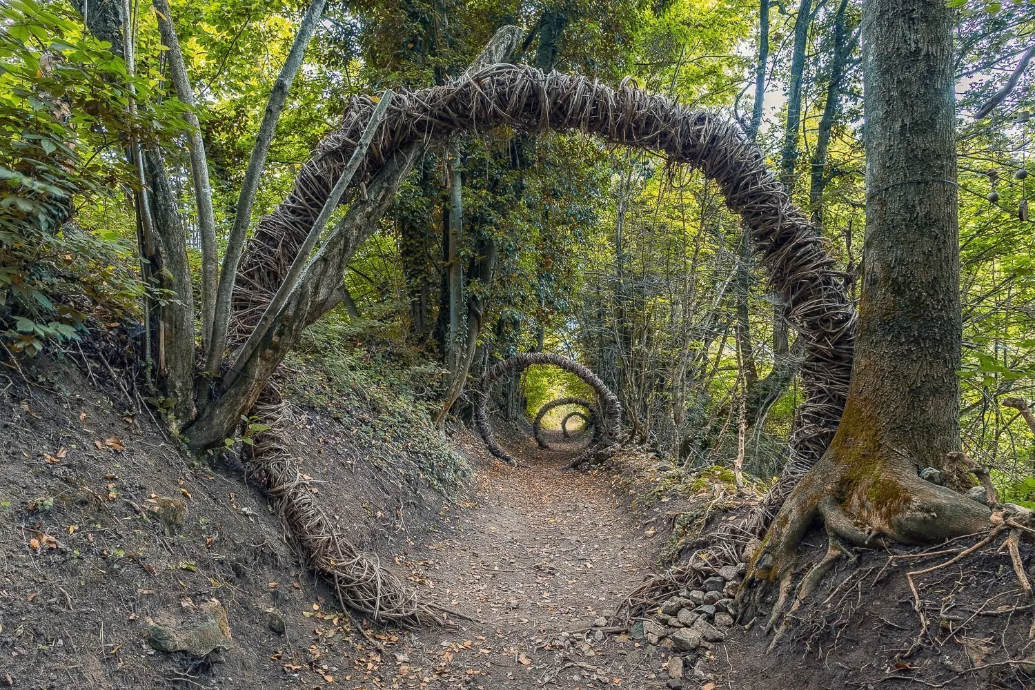 Folletti e natura sul sentiero del Sarvanot: il bosco che racconta una magia tutta da vivere