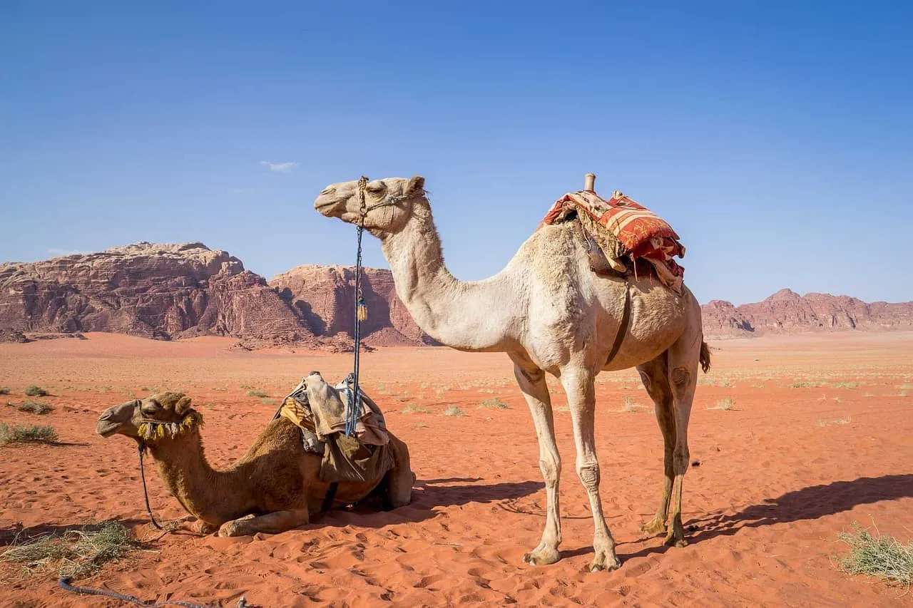 Giordania: una notte nel deserto del Wadi Rum