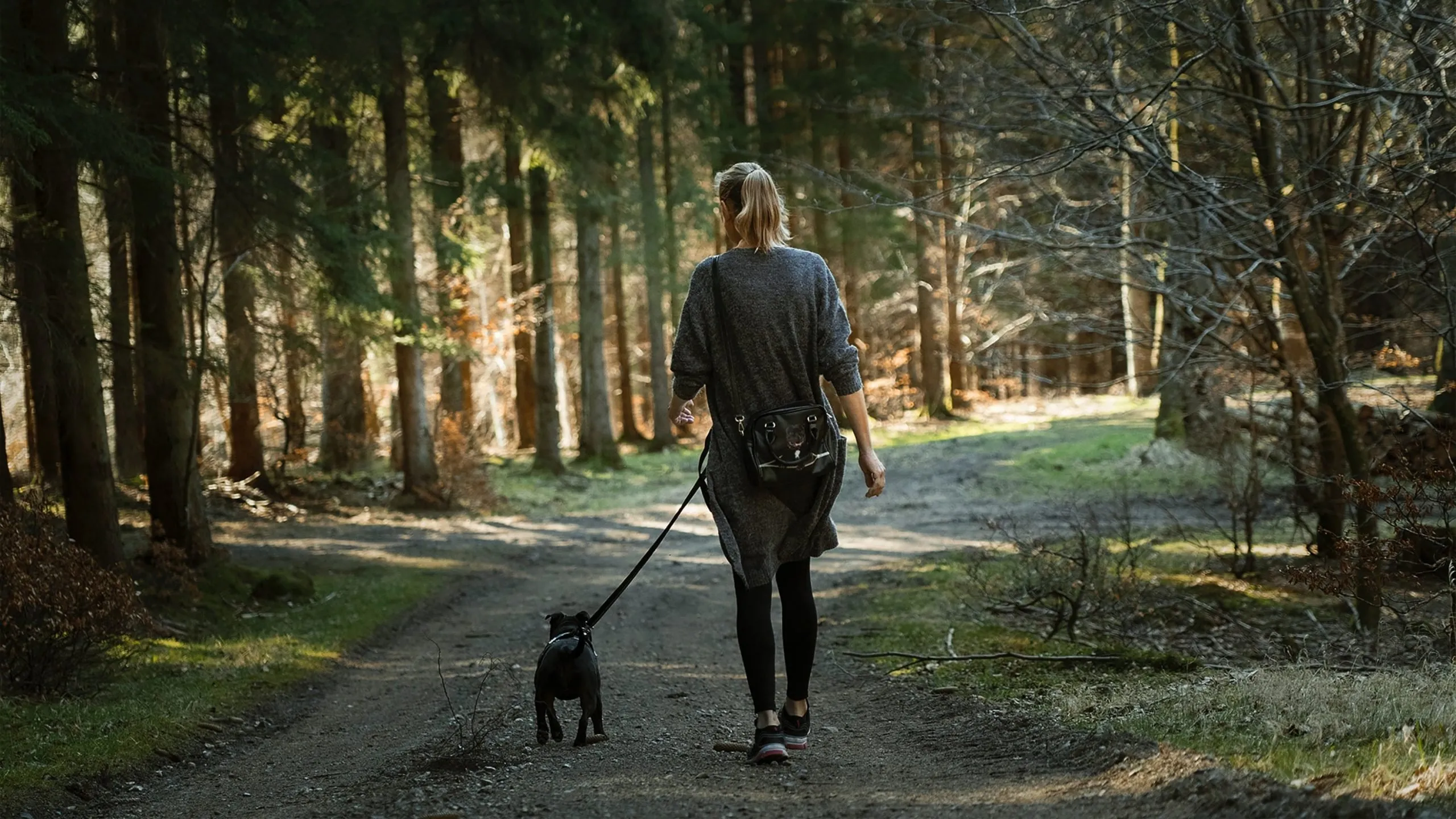 Fare passeggiate nella natura col cane può aiutarci ad avere una buona salute generale