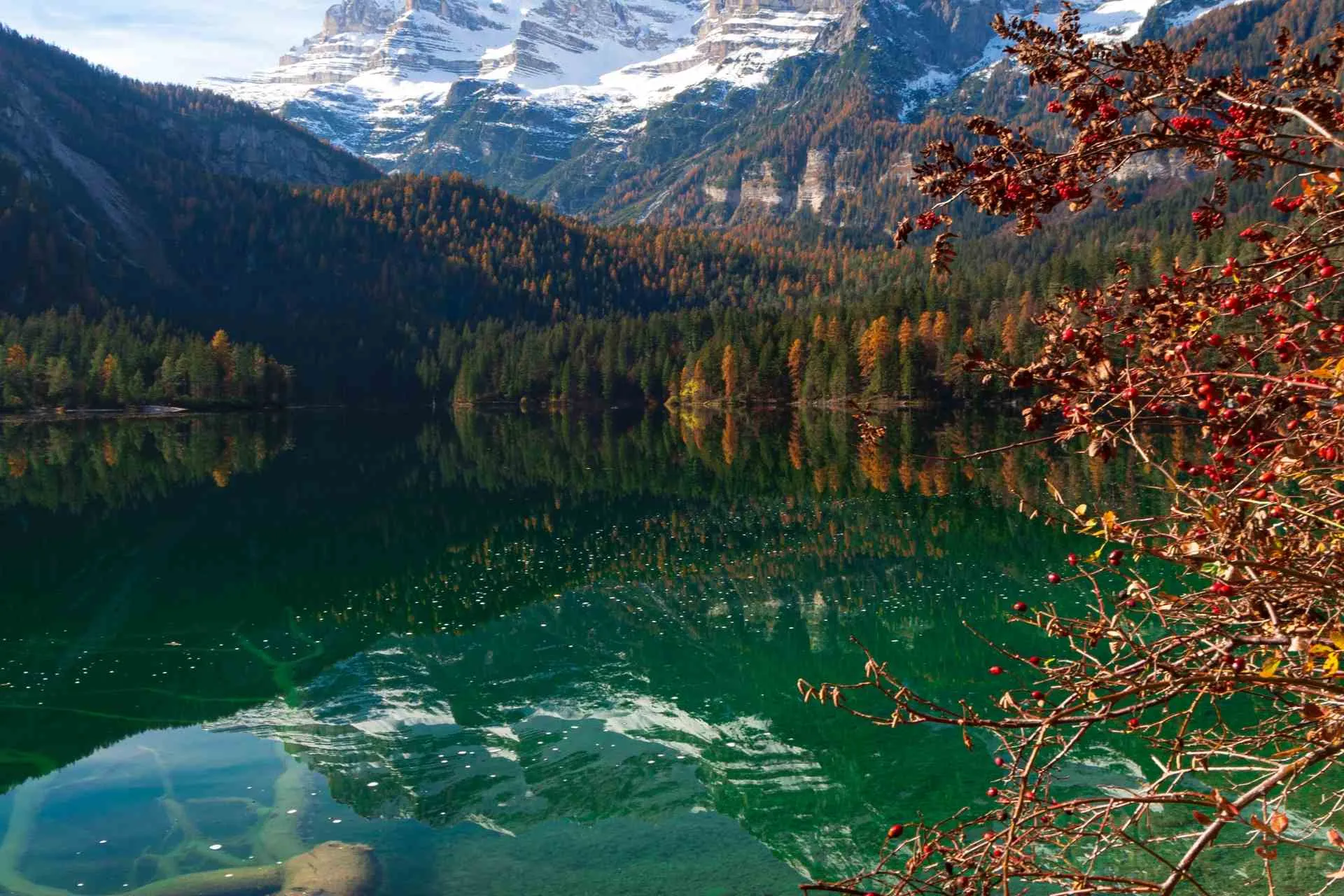 leggenda tutti prenotazione volta dolomiti montagna colore uno trentino strada navetta parcheggio piedi parecchio capriolo