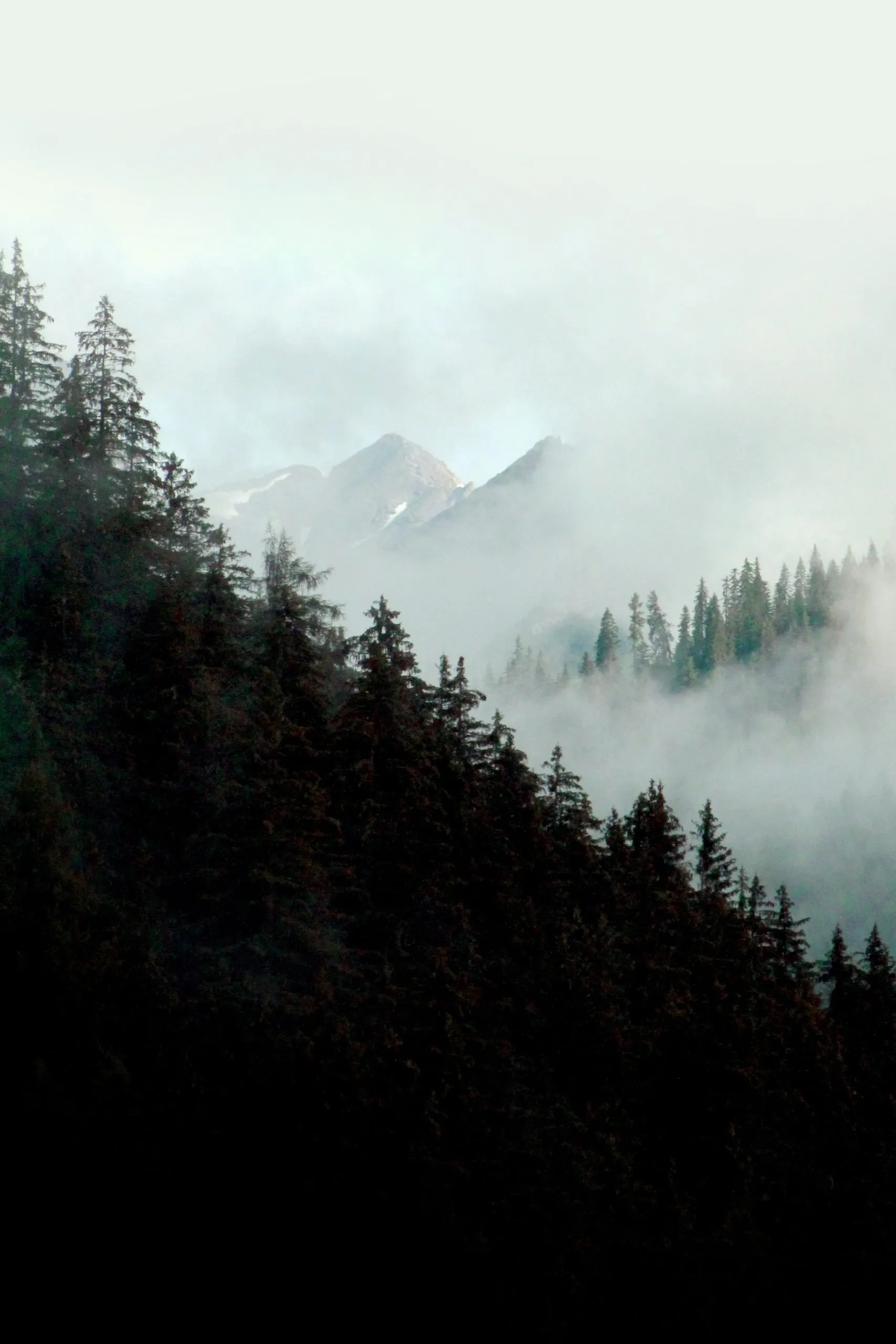 Sappada: scopri il fascino autentico delle Dolomiti con la nostra guida completa