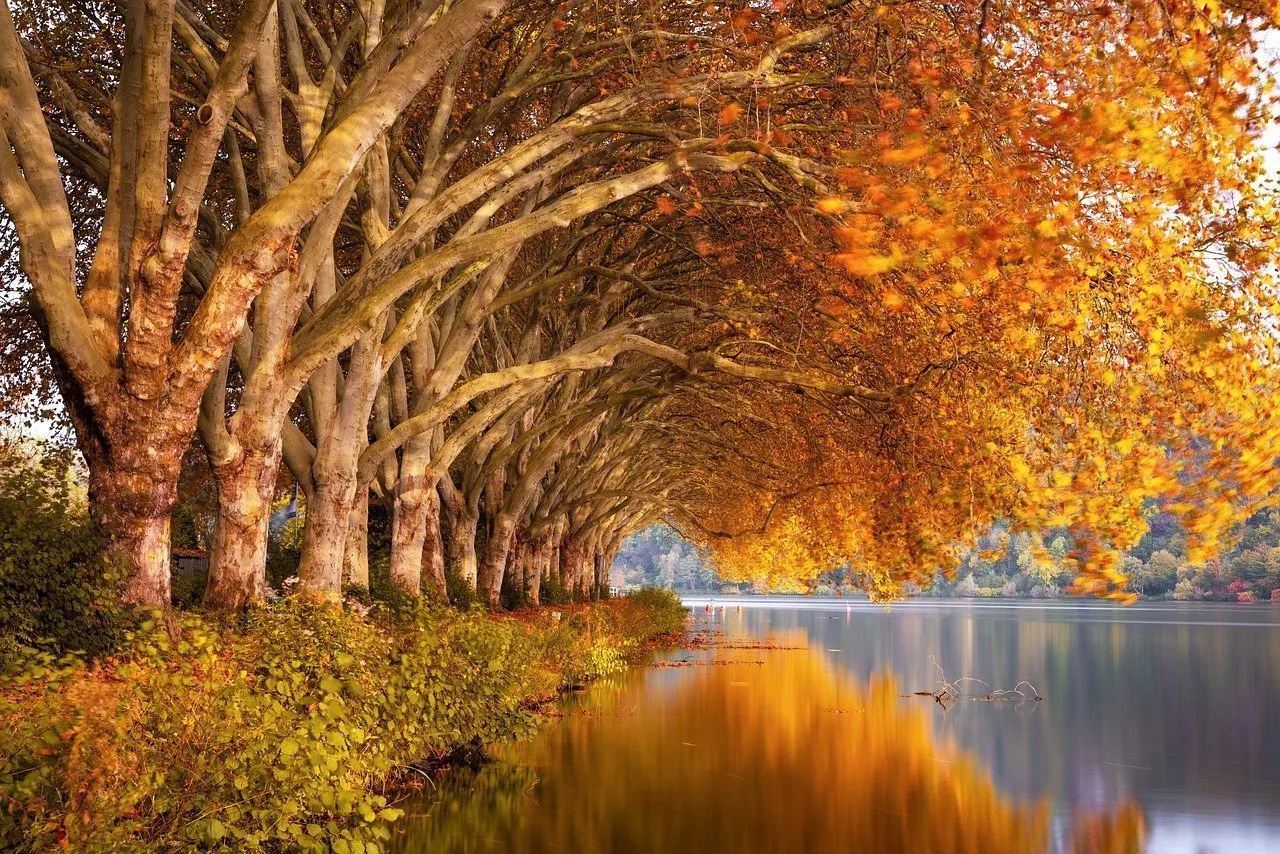 foliage Nord Italia