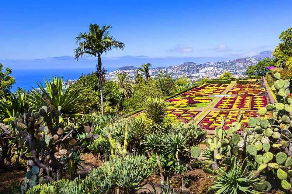 giardino botanico di Funchal - Madeira