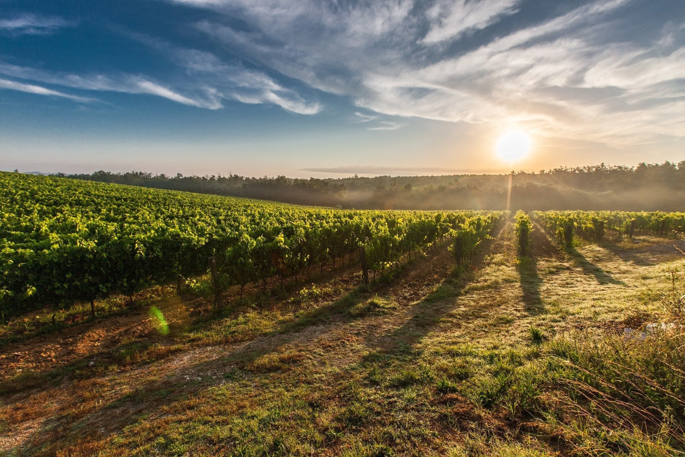 Borgo di Petroio: un angolo segreto della Toscana tra storia e bellezze naturali