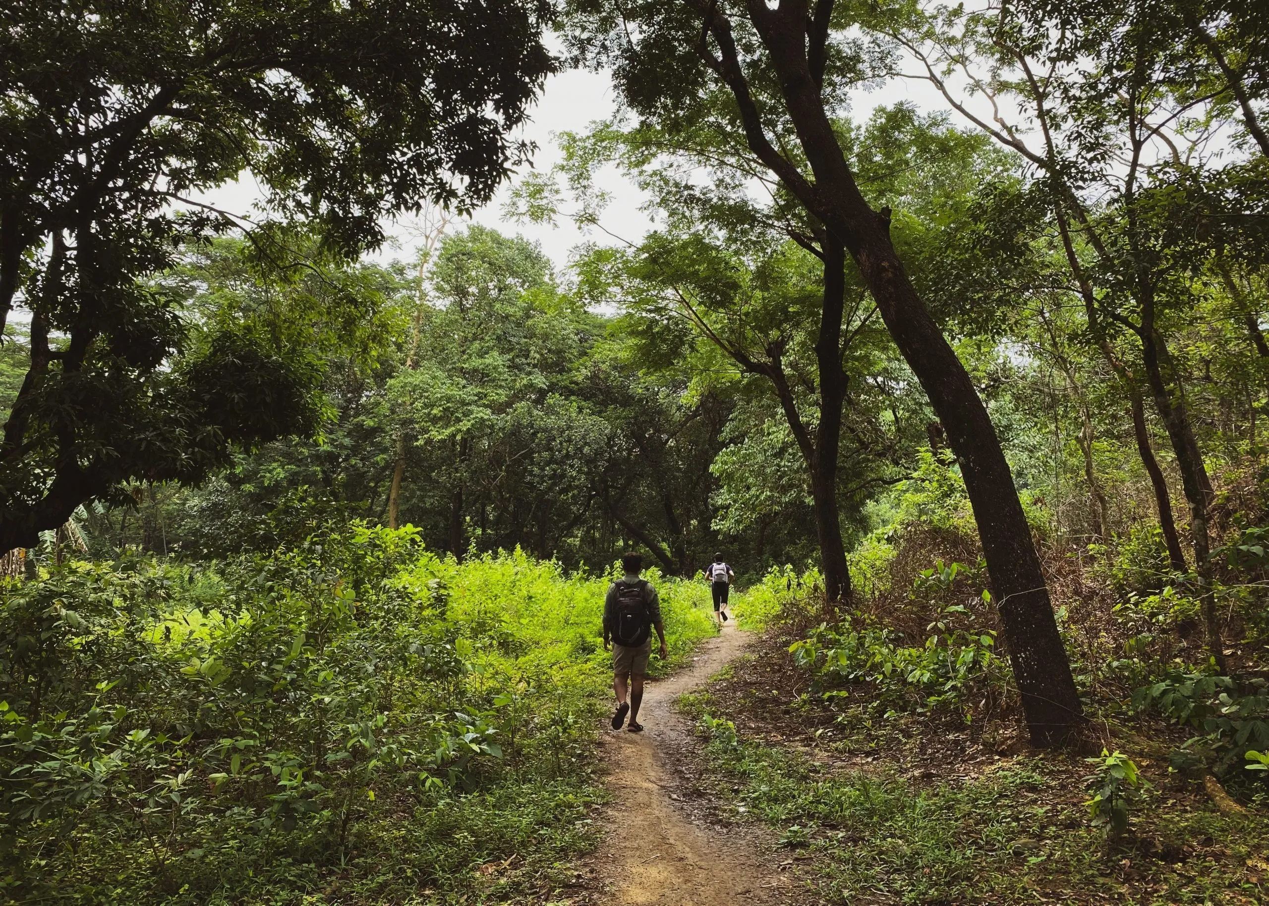 trekking con meeters