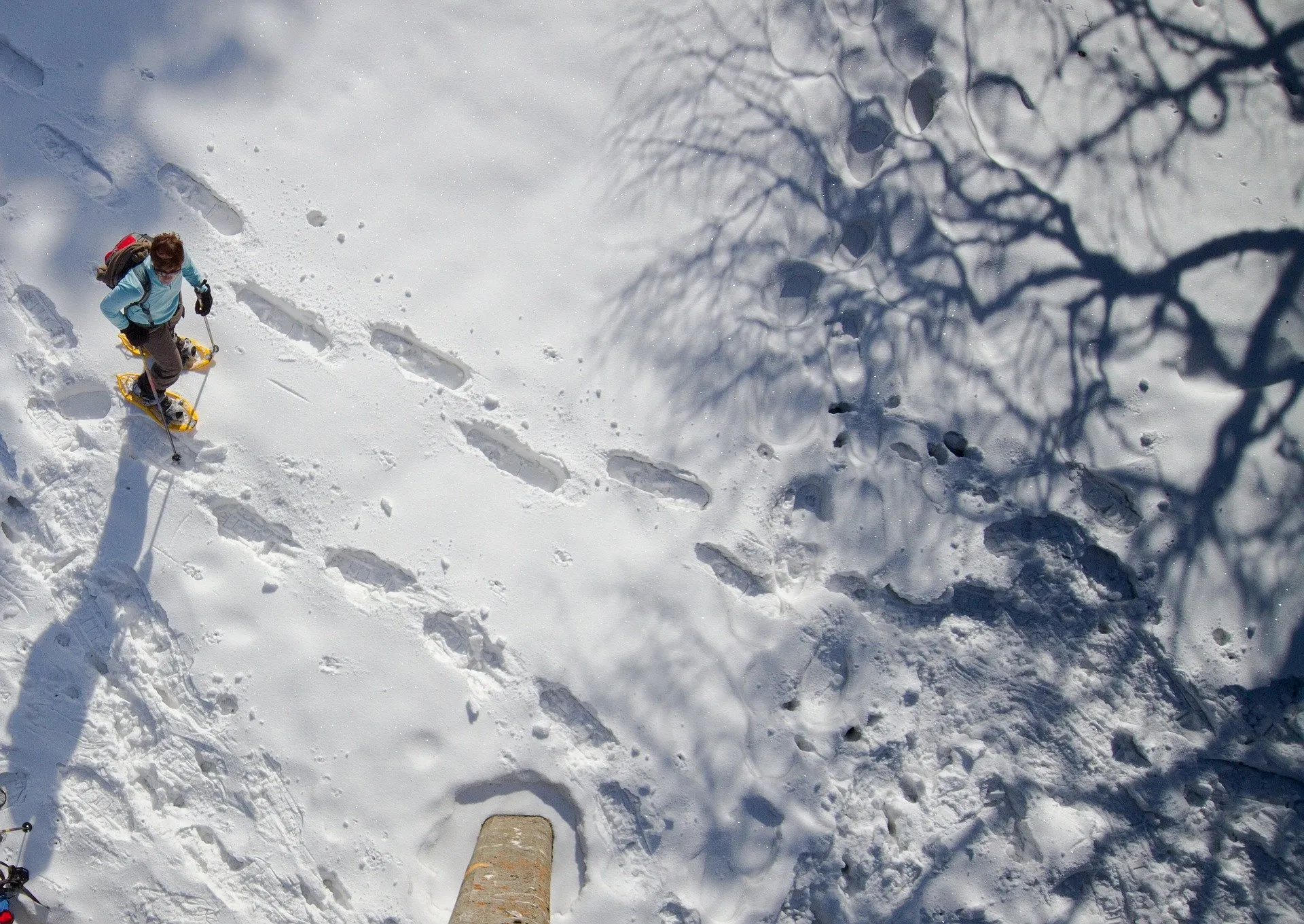 Ciaspolata organizzata nella neve
