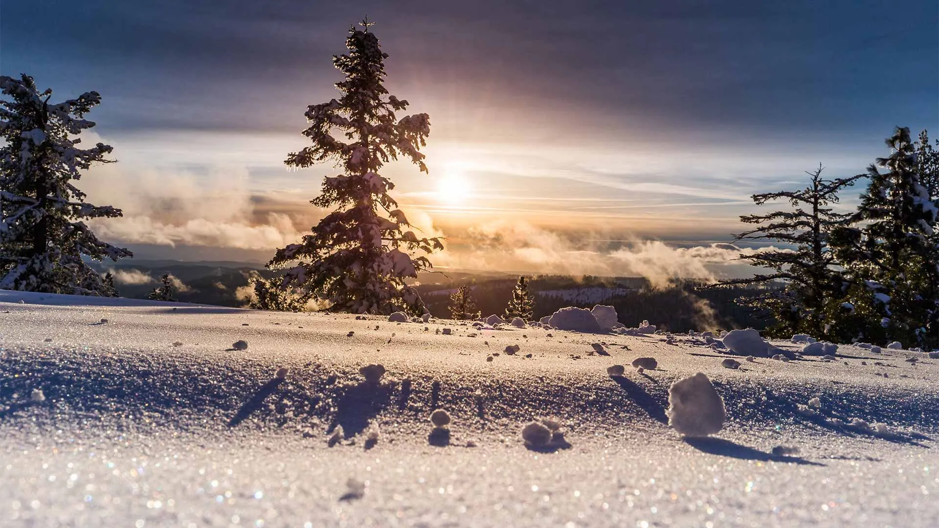 Camminate sulla neve: una guida pratica