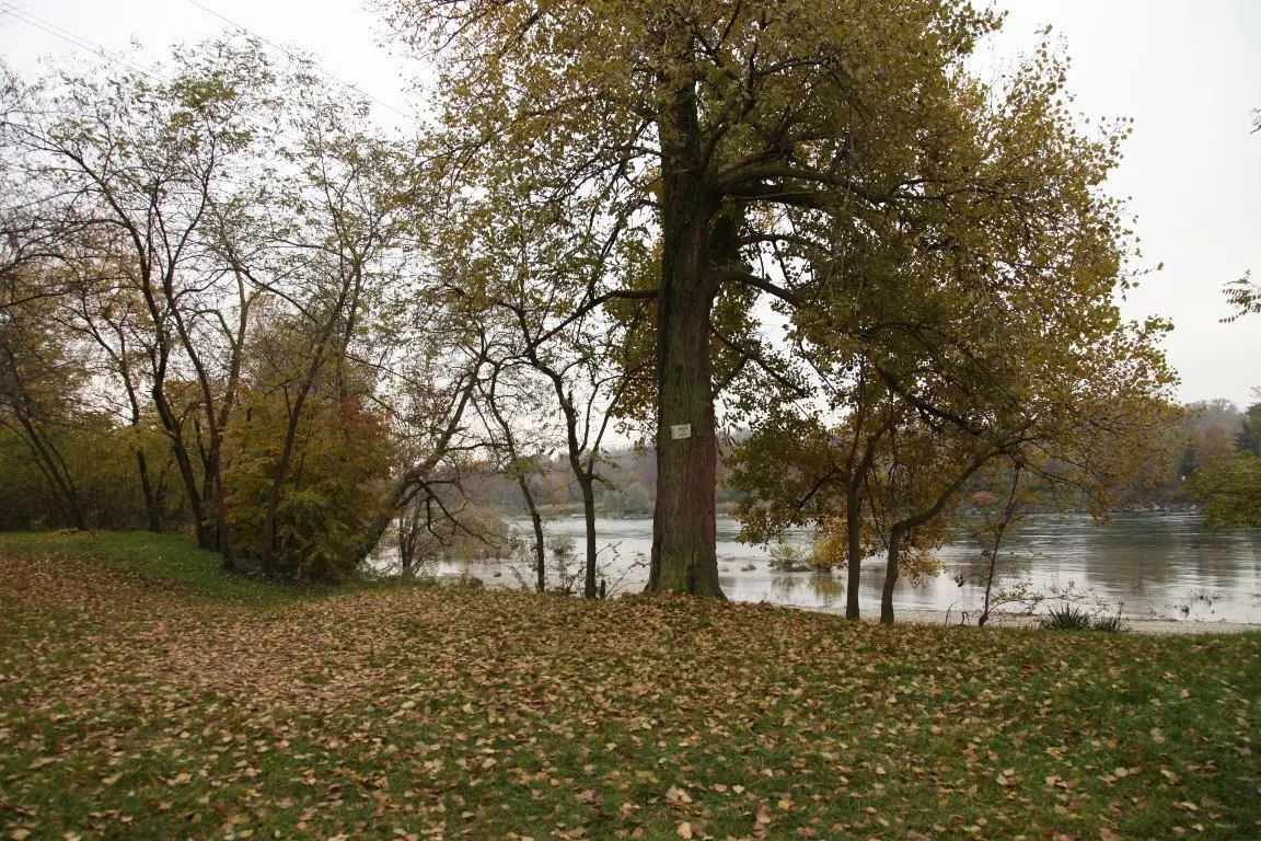 Idee per passeggiate in lombardia