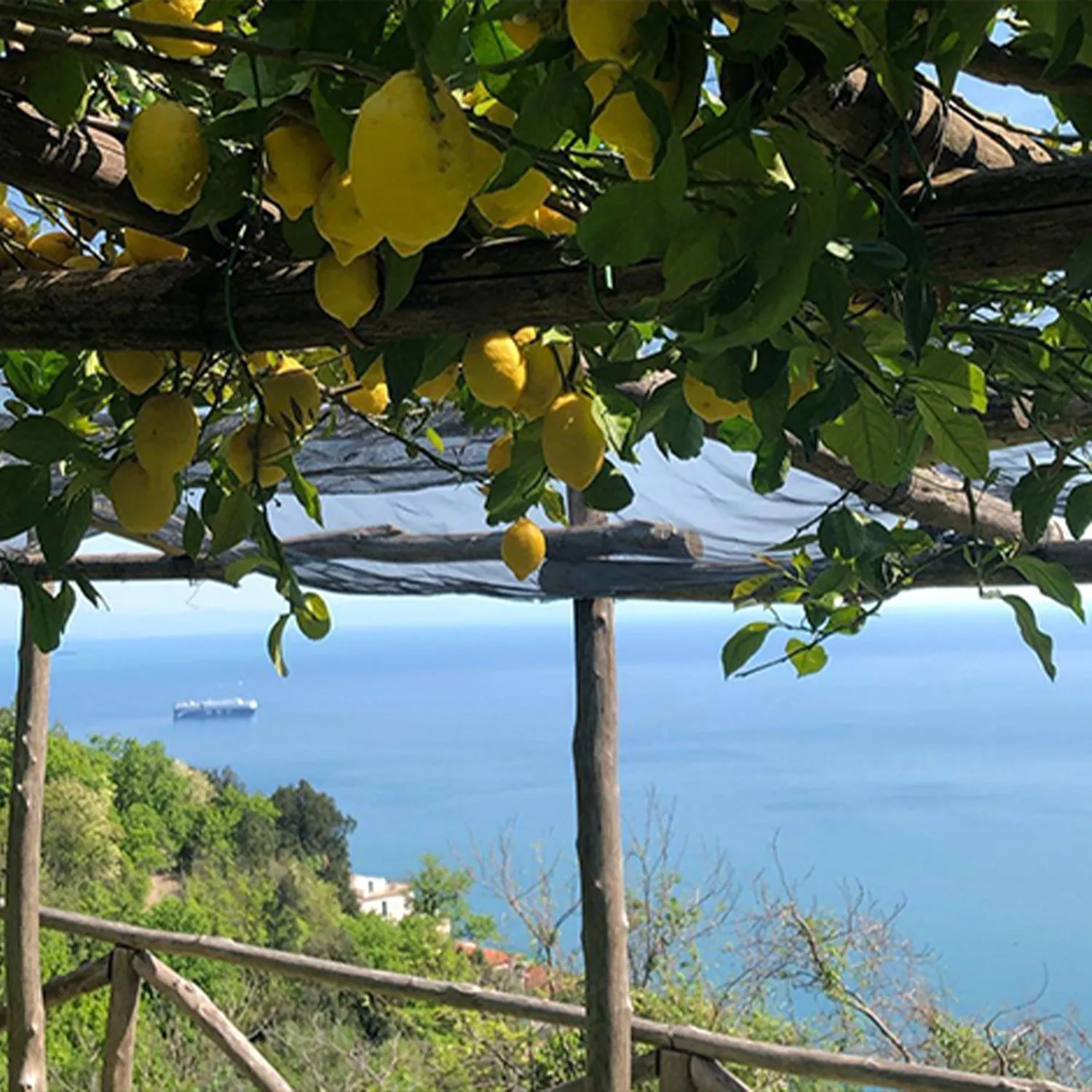 limoneti percorso degli dei