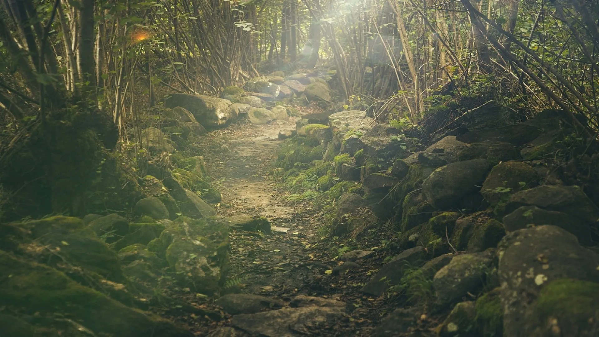 le migliori app per trekking