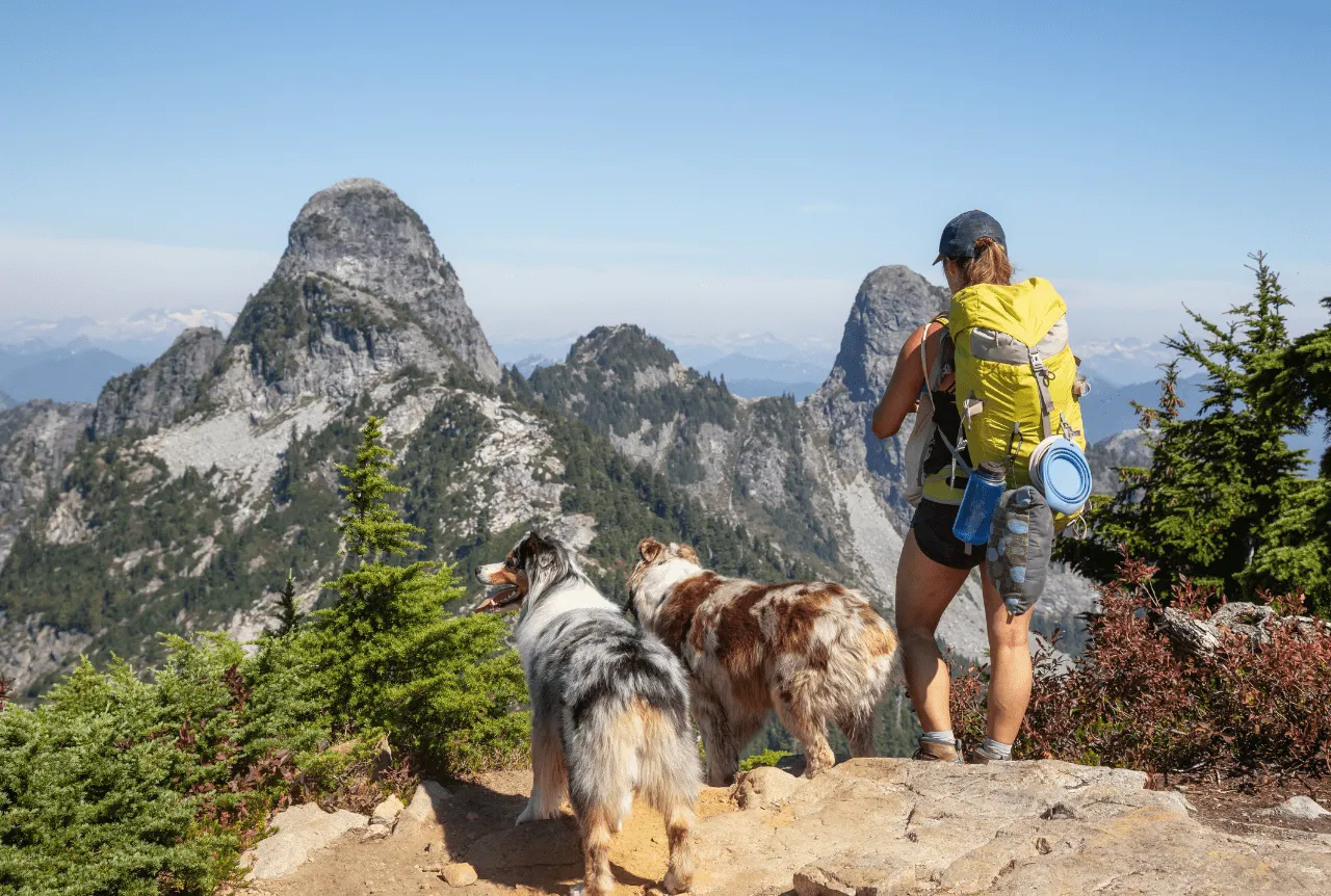 attività-con-cani-in-veneto