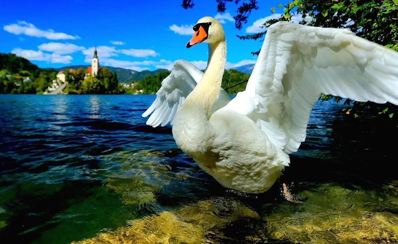 come si raggiunge il lago di bled