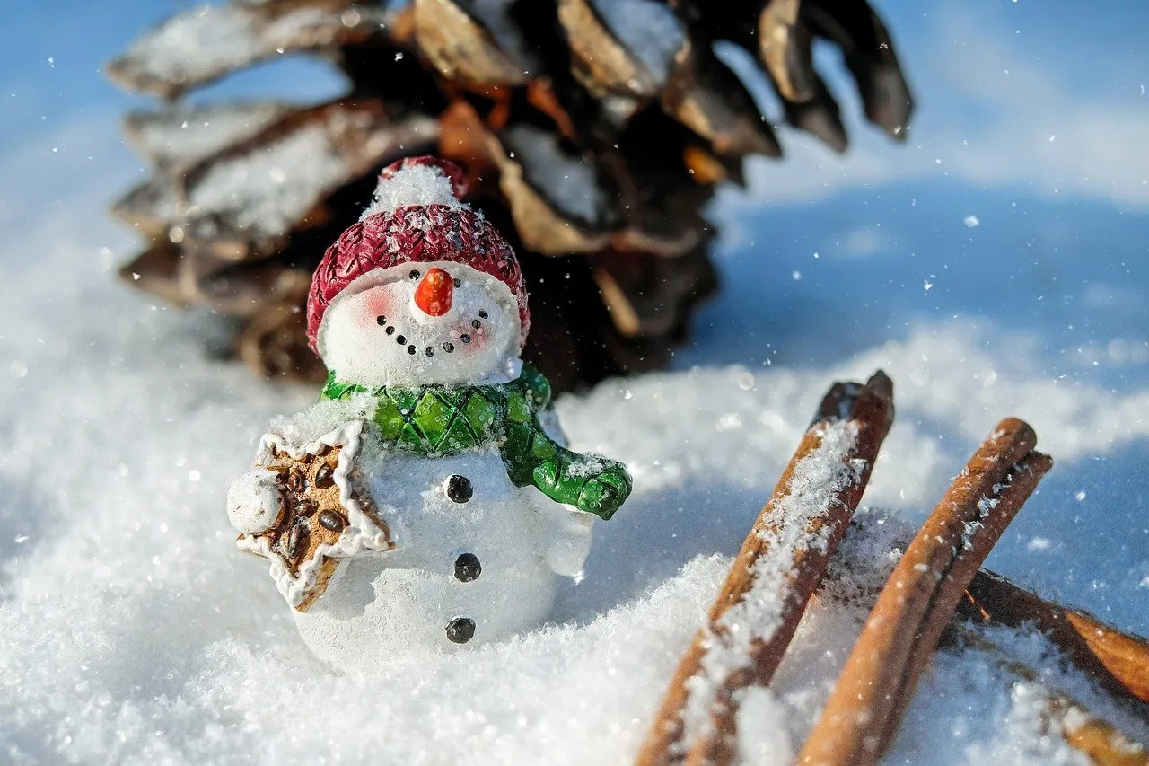 capodanno sulla neve