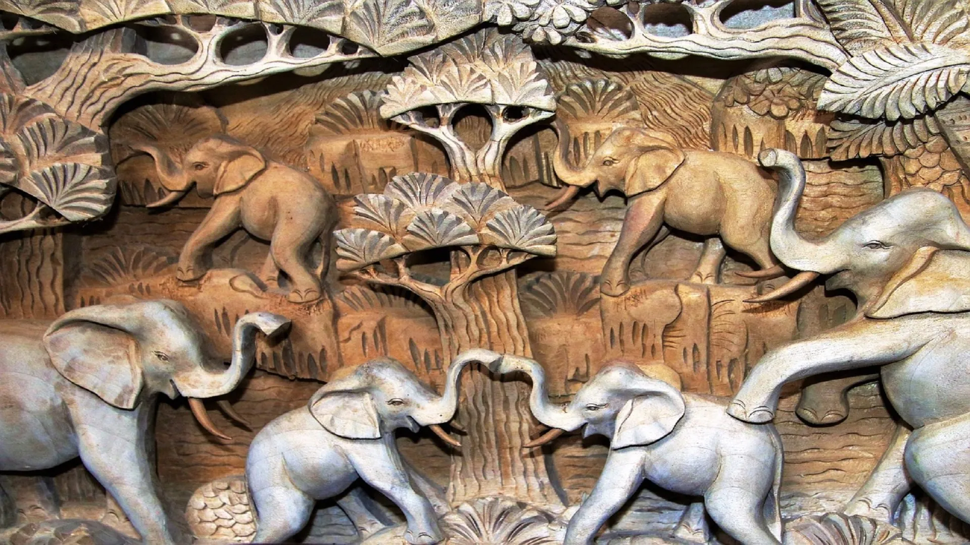 quando andare in sri lanka