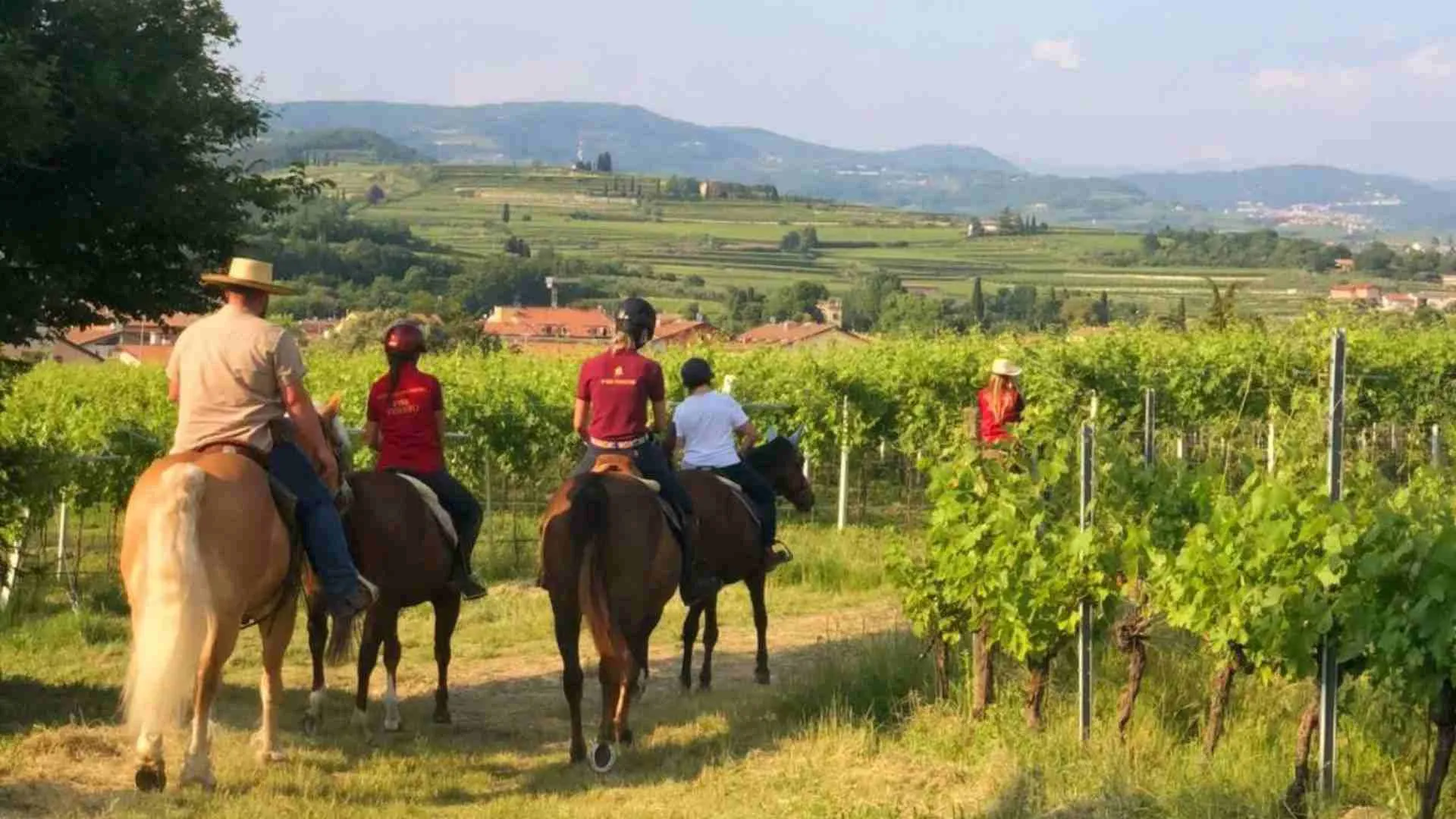 passeggiate-a-cavallo-in-valpolicella