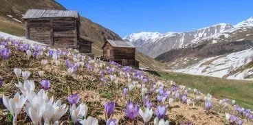 giro delle tee livigno