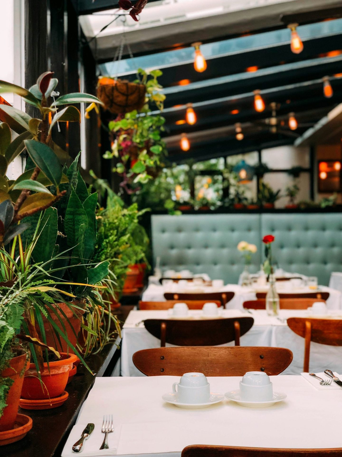 Scopri il miglior ristorante a Bolzano: un’esperienza culinaria indimenticabile