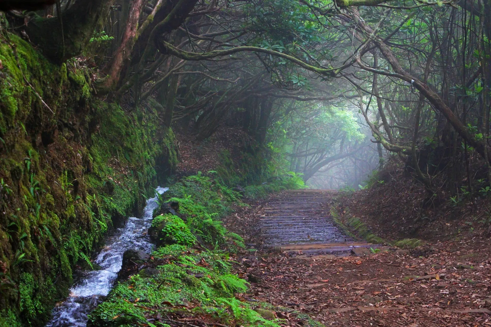Madeira: cosa vedere in una settimana sull'isola