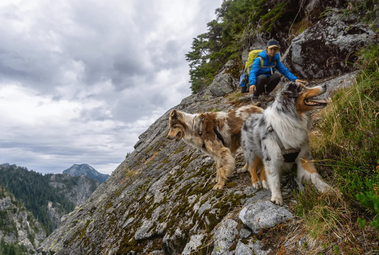 attività-con-cani-in-veneto