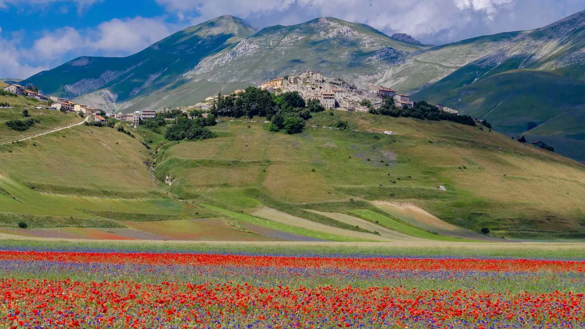 castelluccio di norcia umbria fioritura
