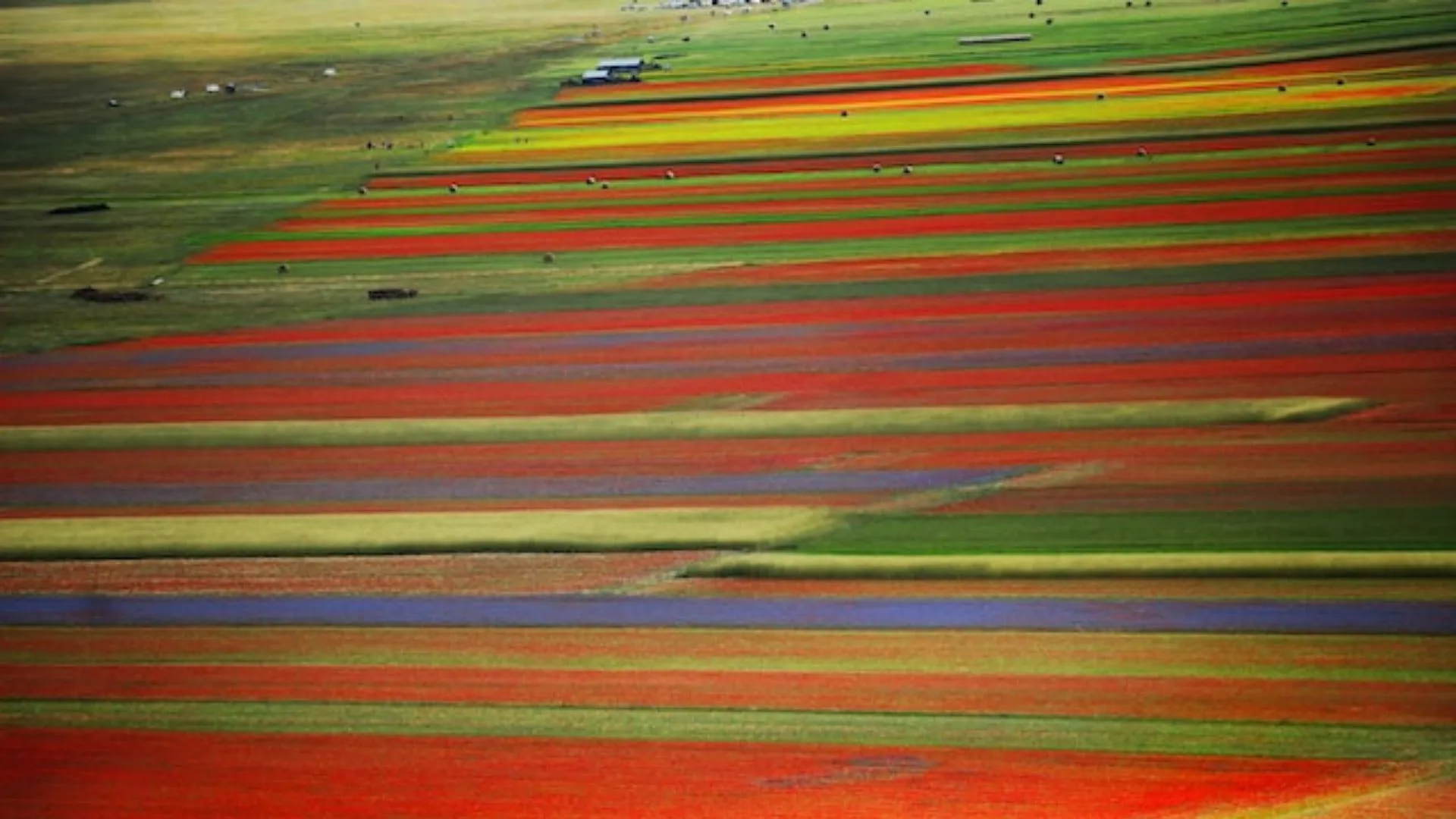 Come arrivare a castelluccio di norcia