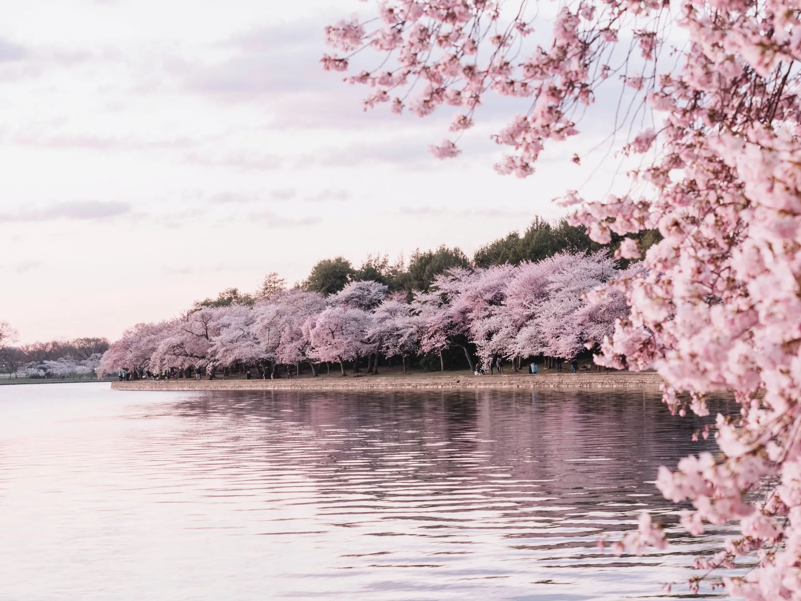 Equinozio di primavera