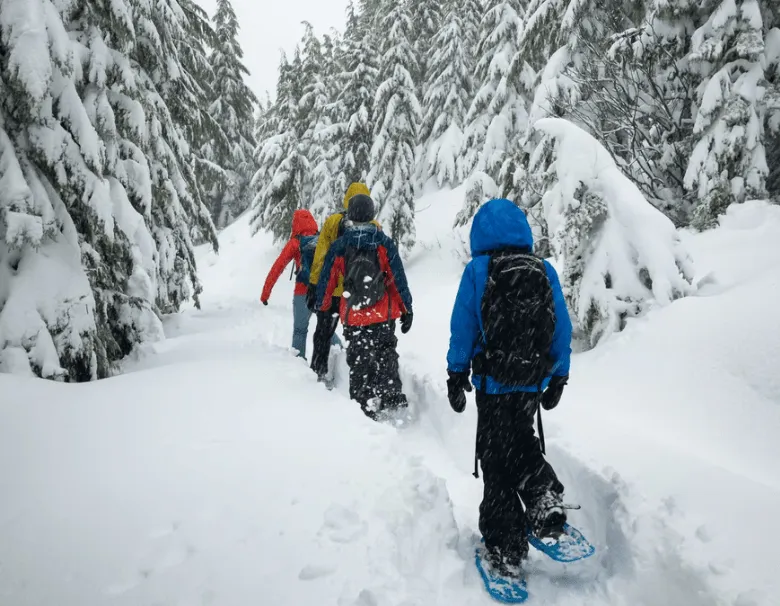 Dove ciaspolare in Italia: guida alle gite in montagna
