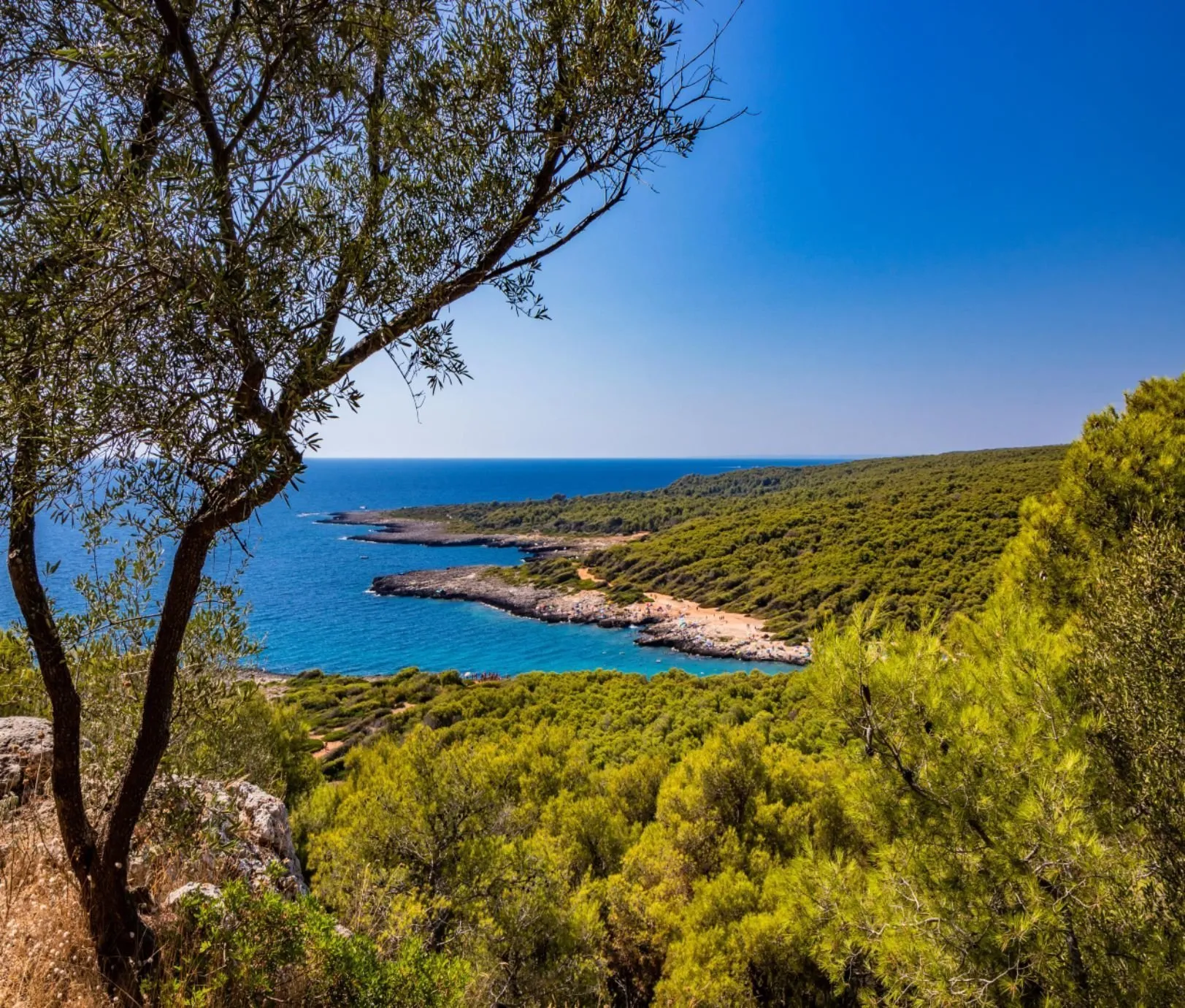 Porto Selvaggio Salento