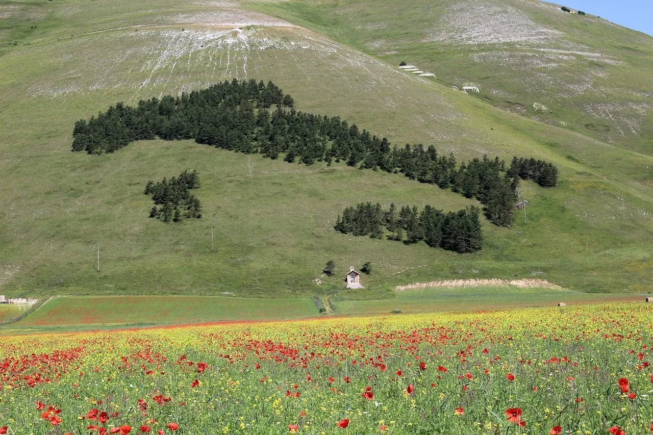 fioritura castelluccio di norcia