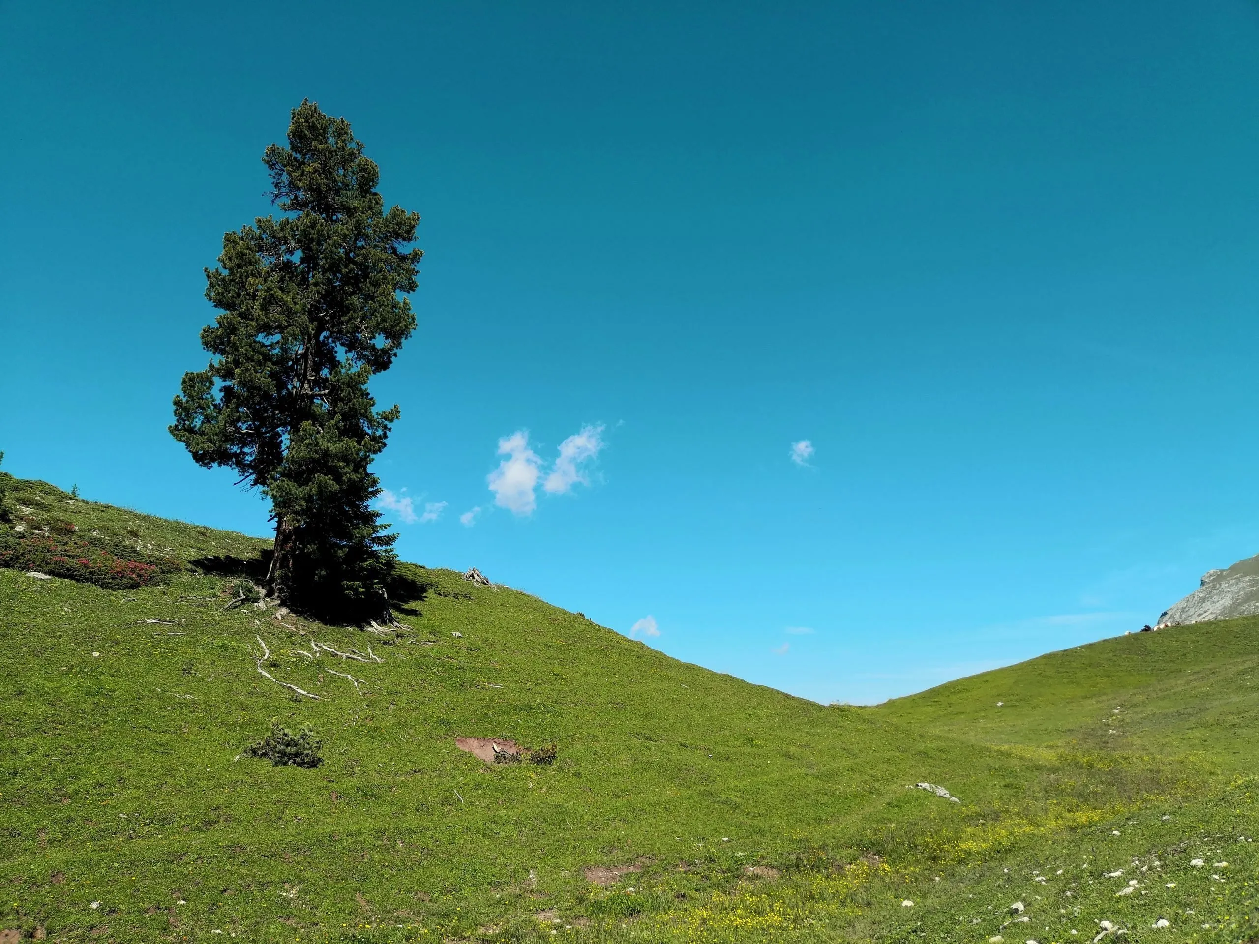 San Martino di Castrozza: scopri il paradiso delle Dolomiti con le sue meraviglie naturali e attività imperdibili!