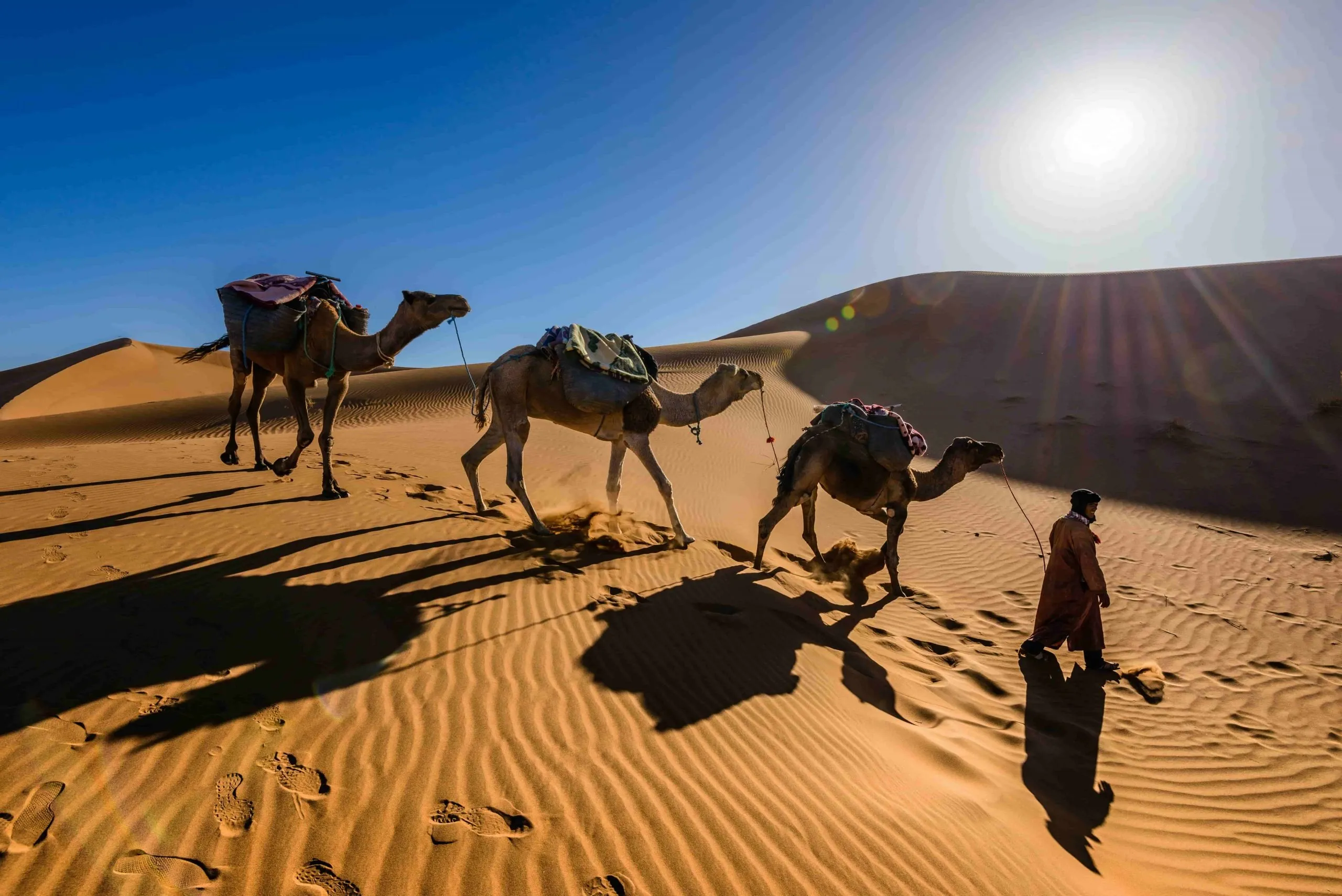 tour marocco 4 giorni in cammello
