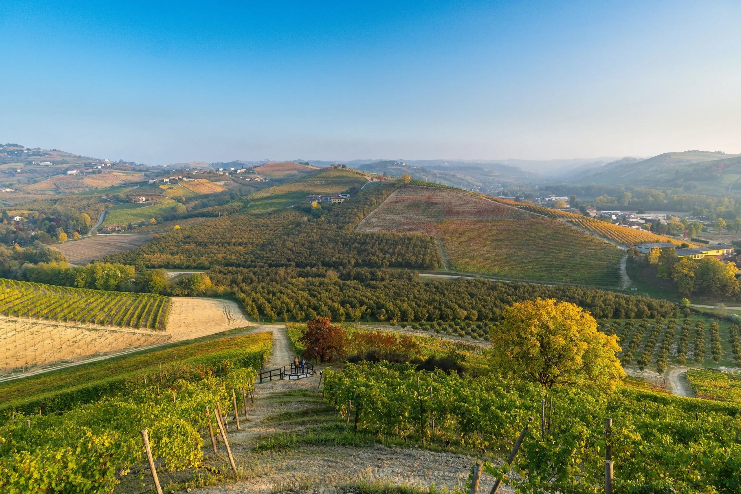 Le aziende vitinicole organizzano quotidianamente degustazioni dei loro prodotti