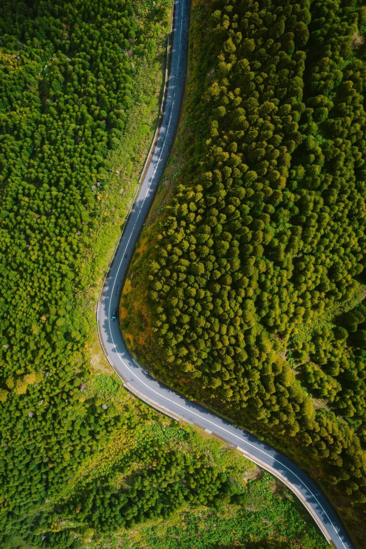 Scopri il percorso perfetto: come trovare la strada giusta per il successo