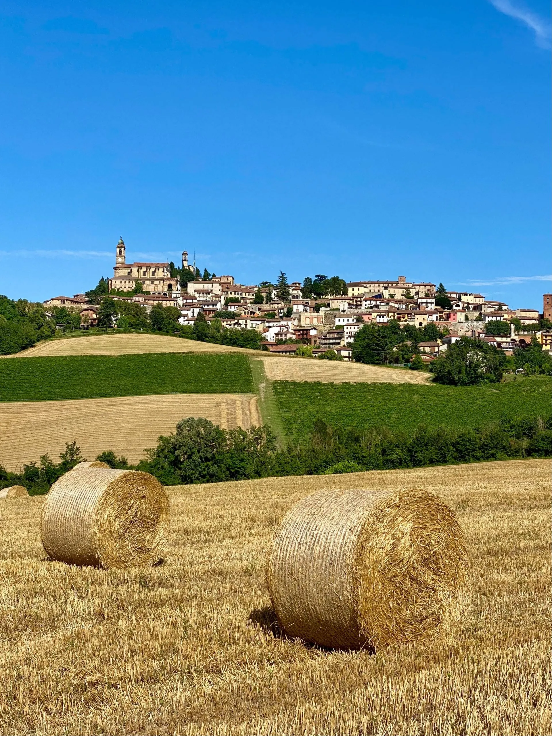 Il Monferrato è un'area dai paesaggi molto suggestivi, tra vigneti e colline