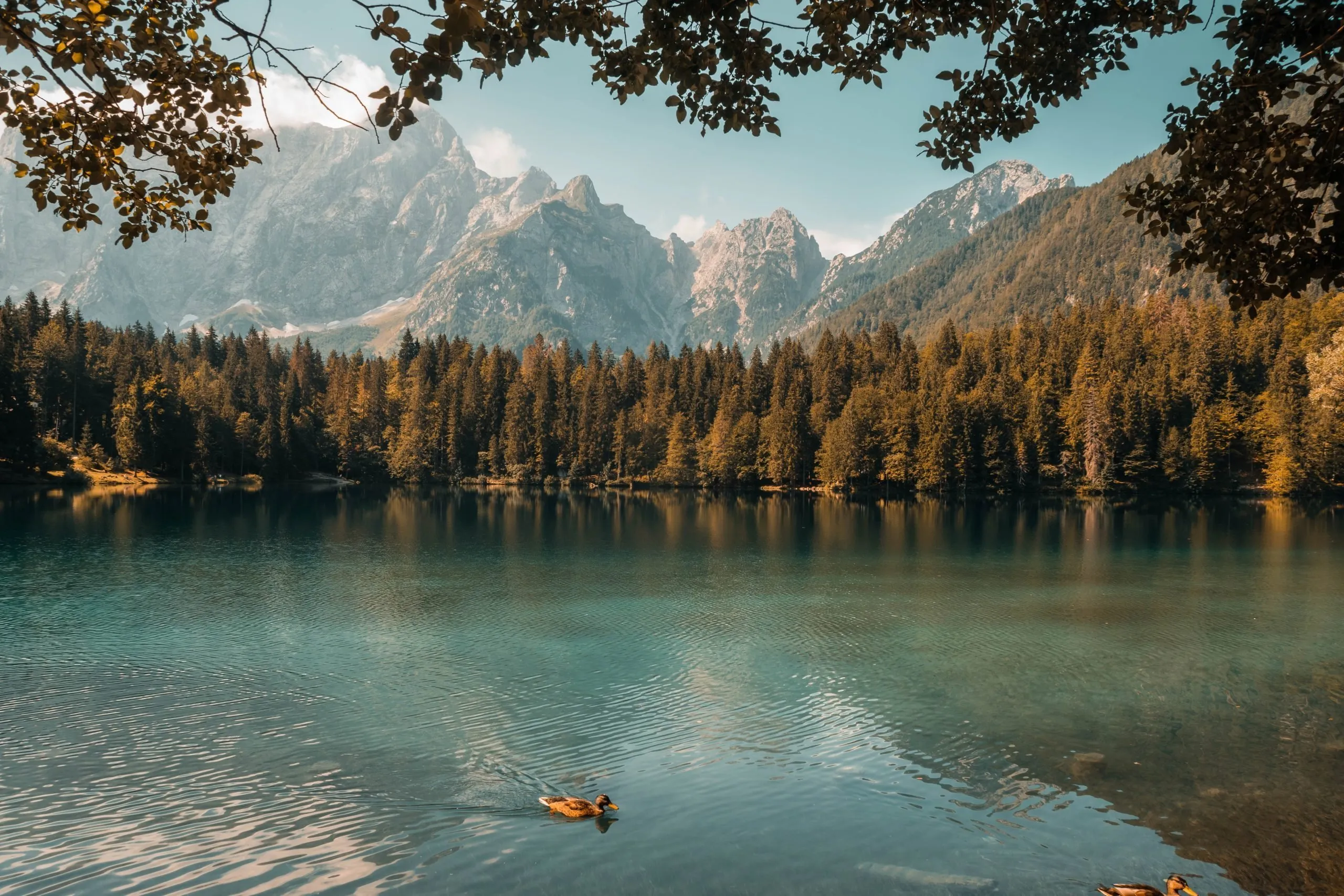 Lago Mono: Il Tesoro Salino della Contea di Mono, California