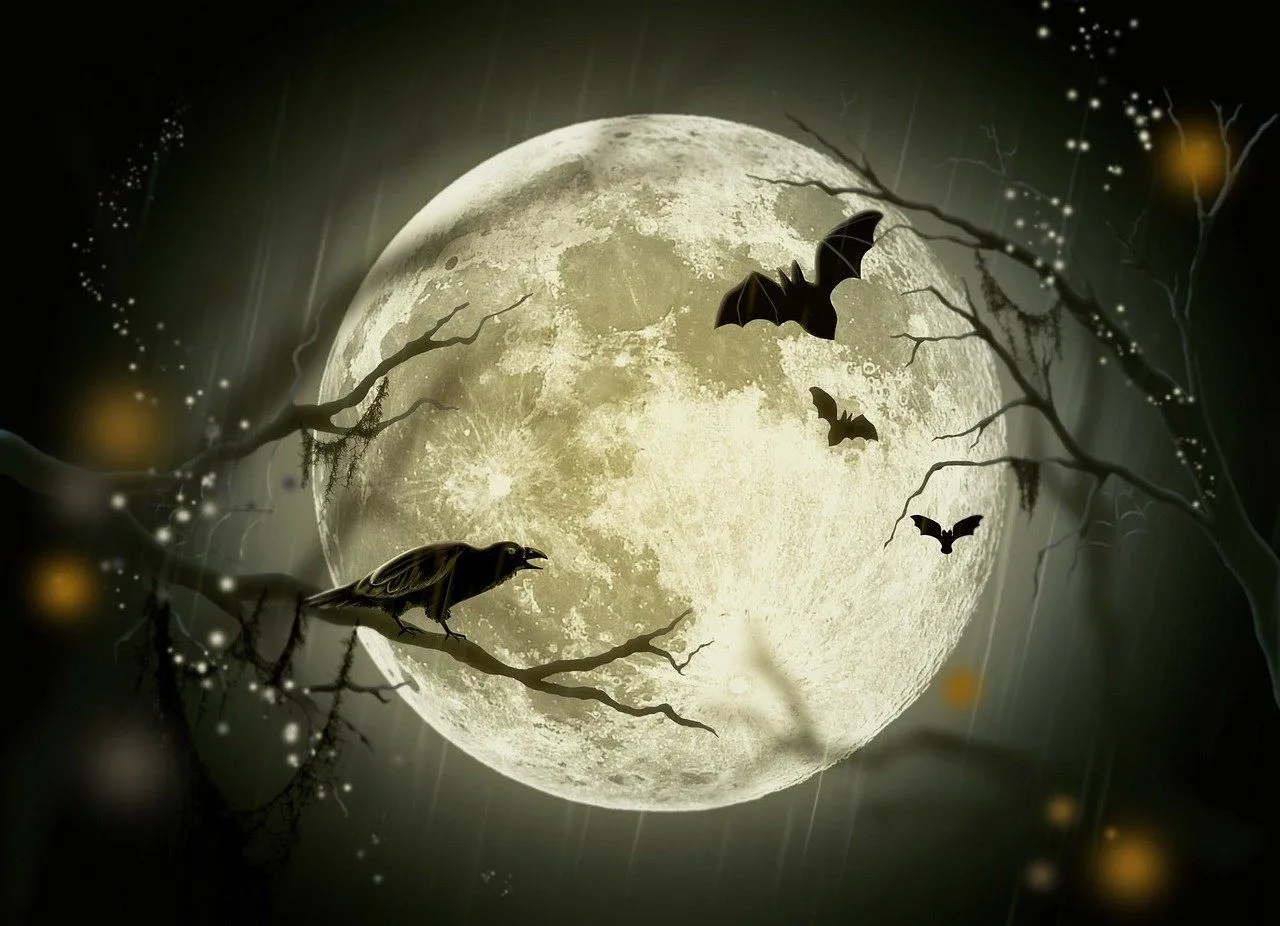 cosa fare ad Halloween