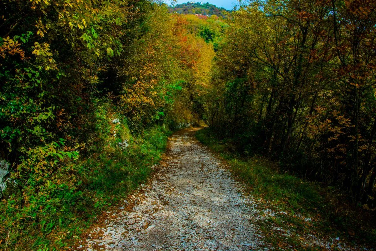 parco del sojo