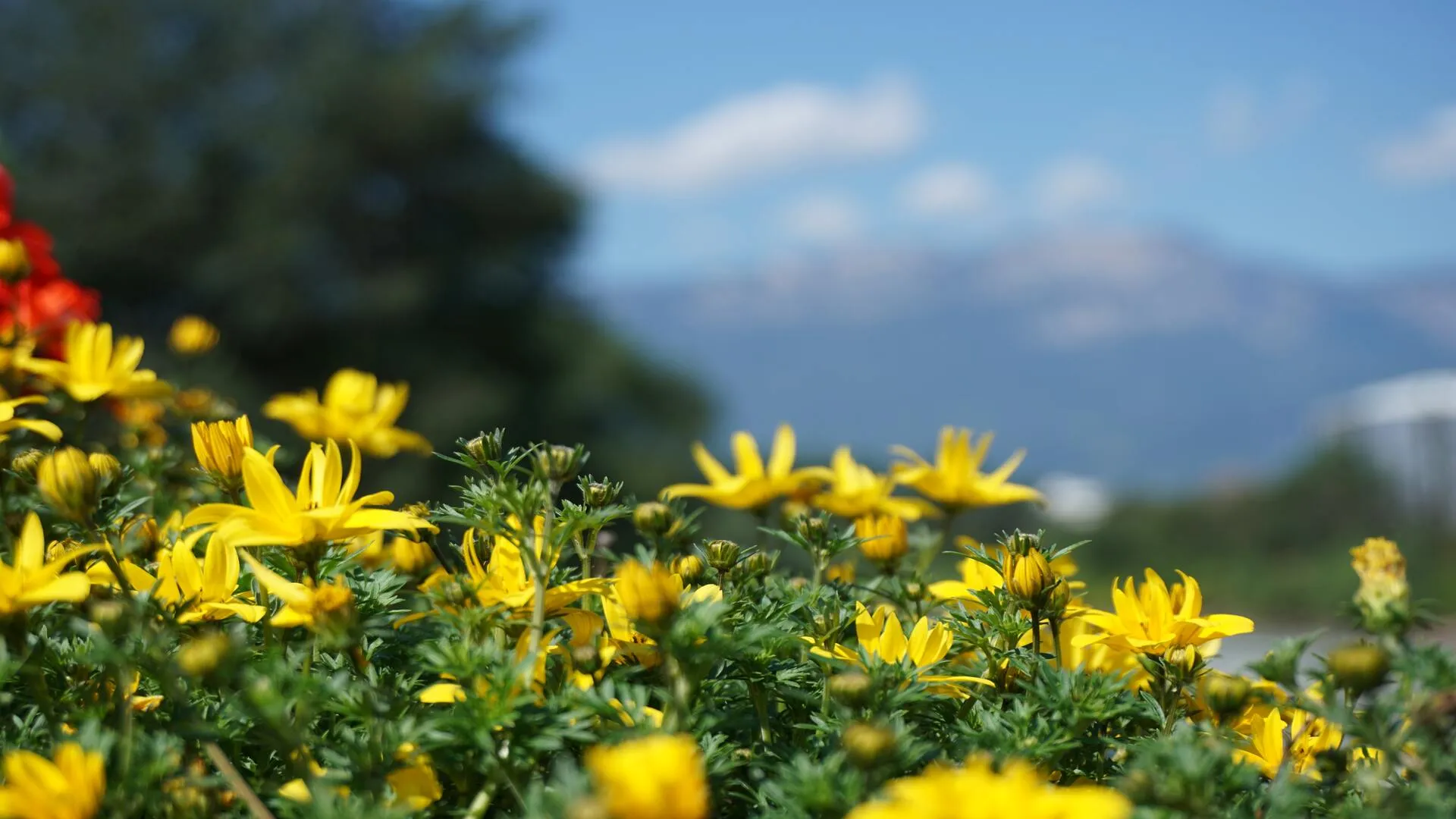 cosa vedere a bolzano