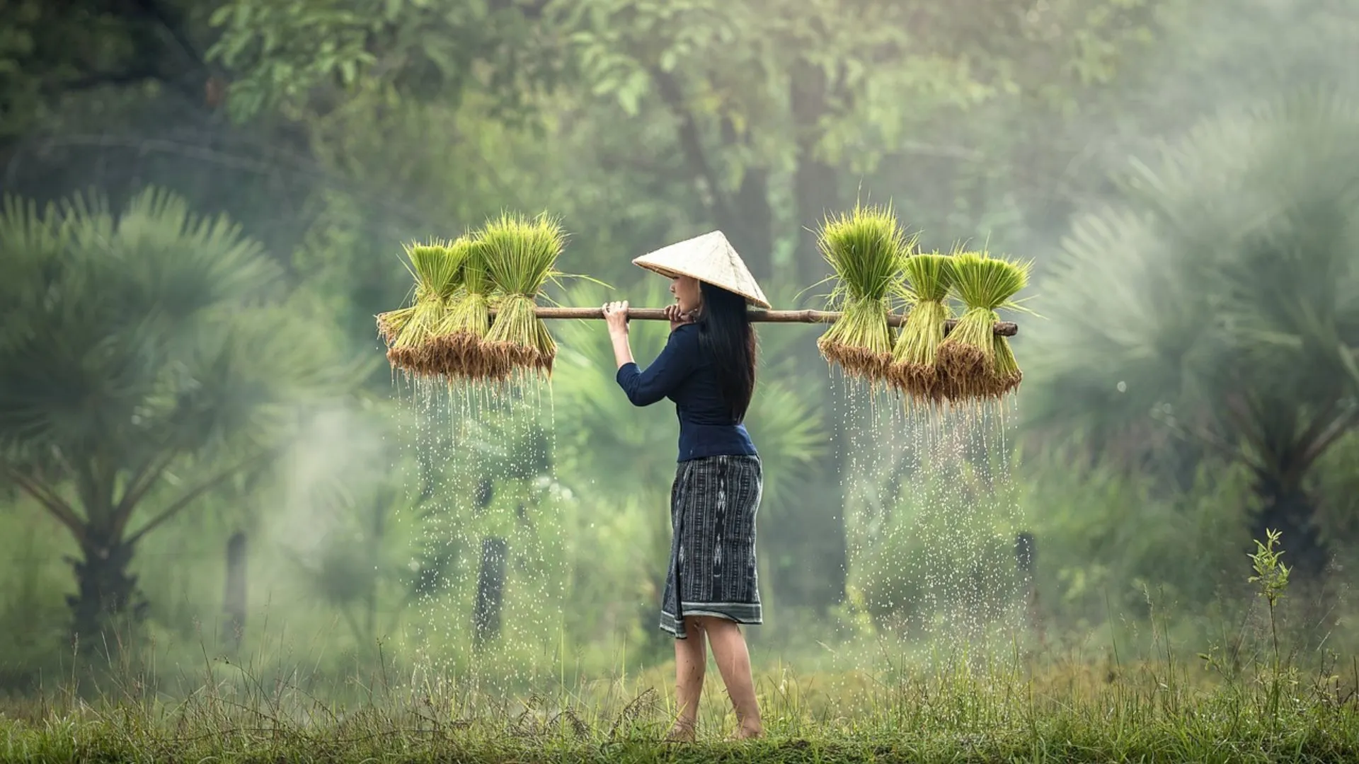 cosa vedere in vietnam
