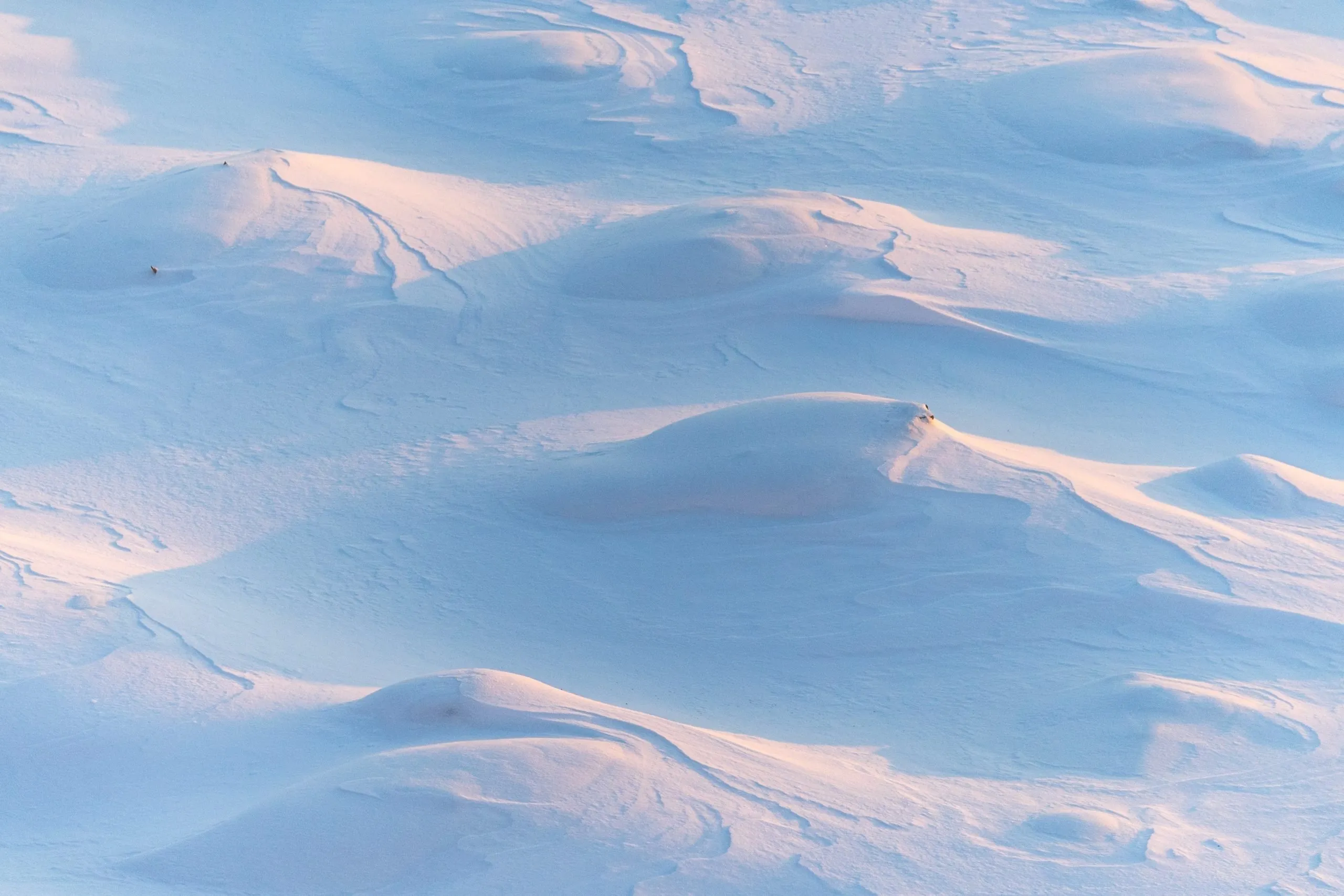 Capodanno sulla Neve: Le Destinazioni più Affascinanti per il 2025