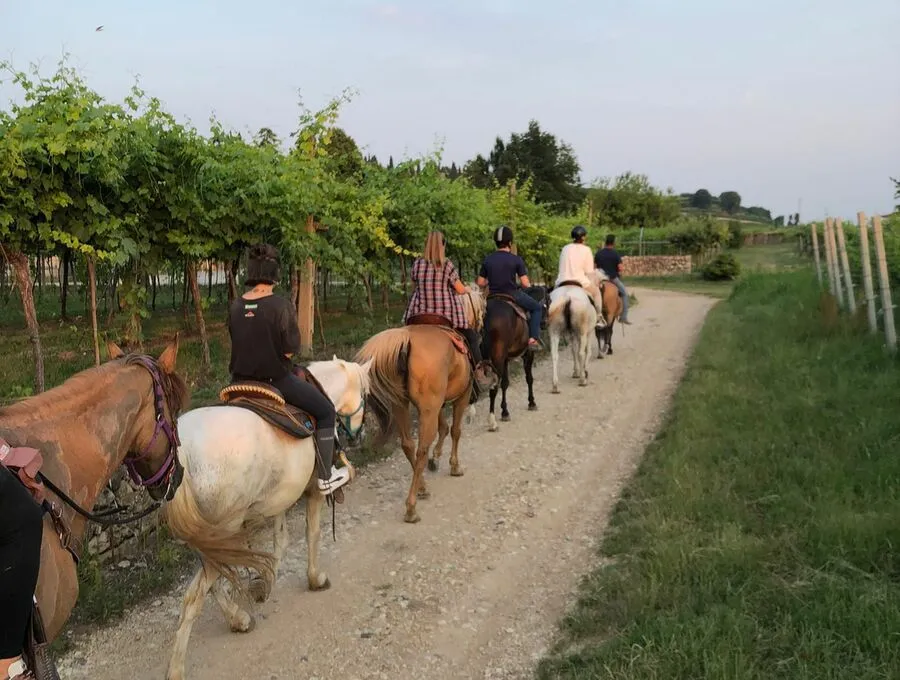 passeggiata a cavallo valpolicella